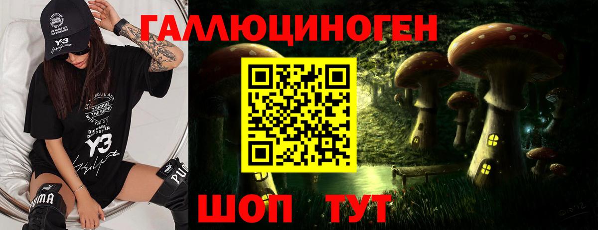 Галлюциногенные грибы MAGIC MUSHROOMS  Вход с VPN  Мыски  Галлюциногенные грибы мухоморы 