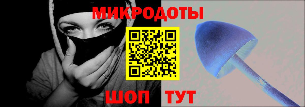 Псилоцибиновые грибы Psilocybe Мыски